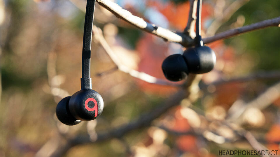 Beats Flex earbuds hanging from tree