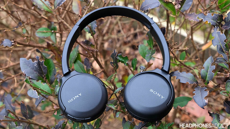 Sony WH-CH510 on a bush